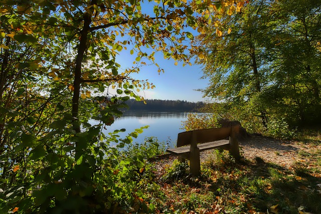 刻理解和阅 刻理解和阅