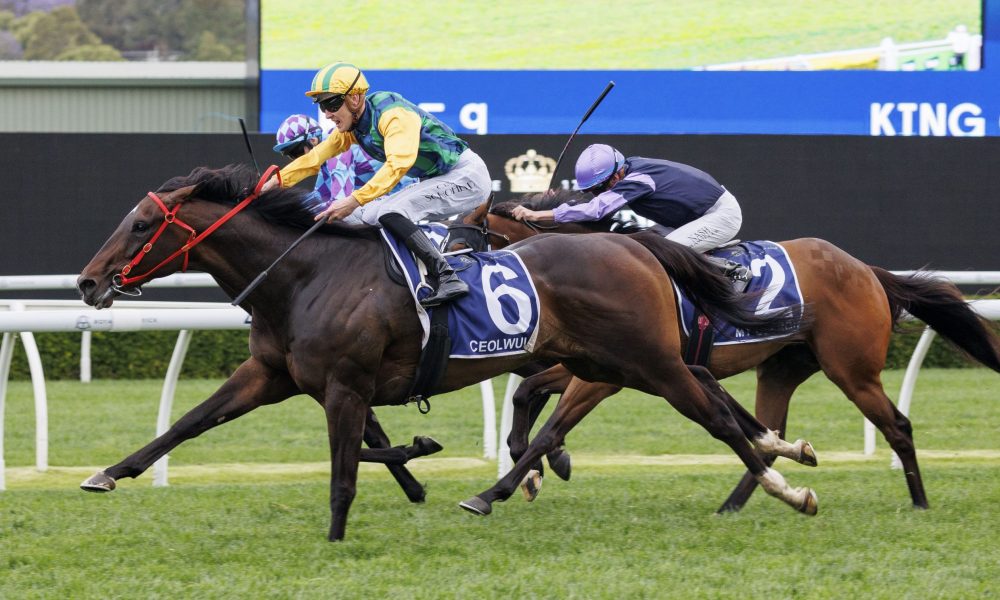 个篮板不仅 个篮板不仅